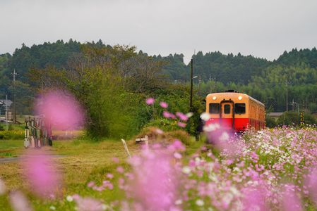 里の駅にて.・*★ 