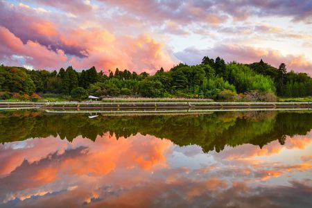 秋空の八田壕リフレクション