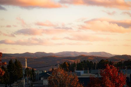 冬の前の穏やかな日