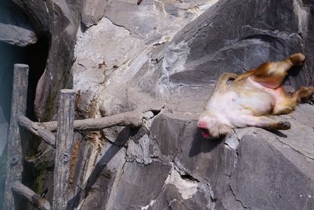 超リラ～ックス！