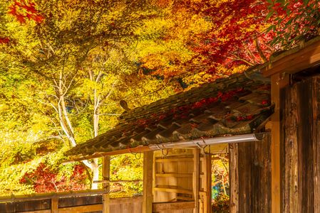 光が造る異空間