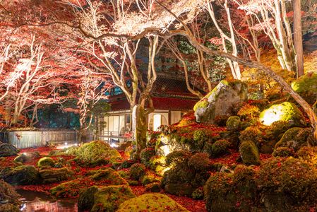 優しい光に浮き上がる悠久の世界