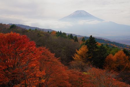紅葉前線を巡る