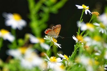 まだ、元気です