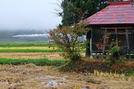 【掘り鉄】「しぐれ空 祠見守る 汽車の息」2017/10/22