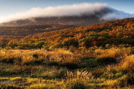 紅葉追いかけ撮影旅行その6