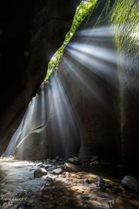 久しぶりの写活