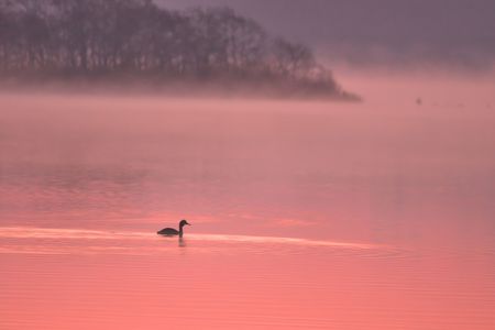 けあらしの湖面に