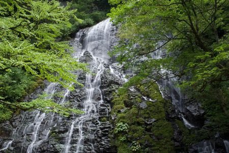 夏の龍双ヶ滝