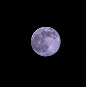 今年最後のスーパームーン