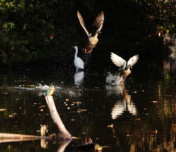 八景水谷公園にて（２）