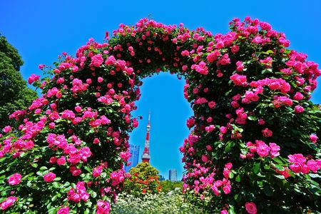薔薇の門