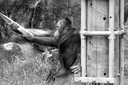 *引っ張ってみる