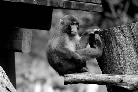 *落ちませんよ！