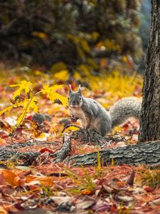 え？呼びました？