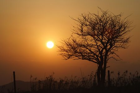 東に太陽、西に月