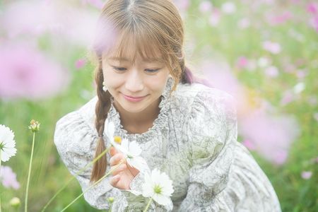 2025年秋桜ポートレート