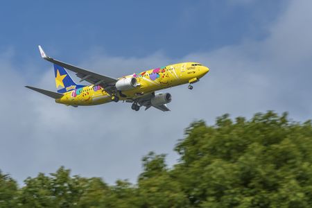 SKY / JA73AB / Boeing 737-8AL / Pikachu