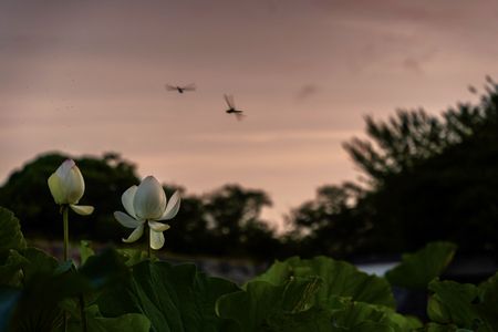 帰途につくとき