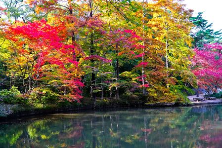 　私　の　お　気　に　入　り　　　　ポイント　。