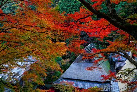 嵯峨野　鳥居本　町並み　保存地区　。