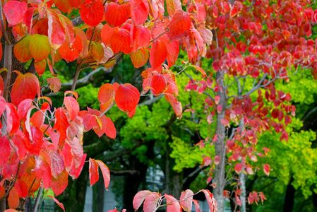 　秋　の　　　訪　れ　。