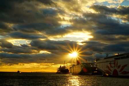 　陽　　　　　光　。