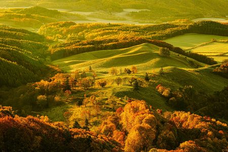 黄金色の本沢牧場