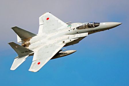 天翔ける大鷲♪