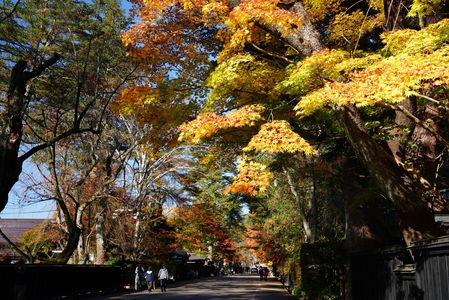 一度は行ってみたかった「秋の角館」