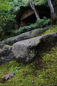 日本庭園　の足元
