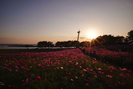 秋の日が暮れていく