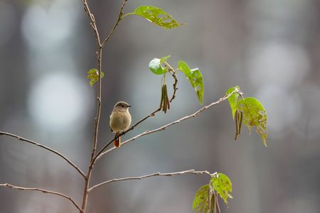 反則級の可愛さ