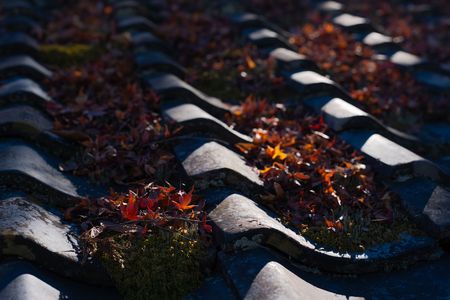 秋の終わりに２