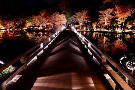 向こう側は、、、