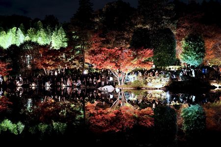Symmetrical Images: SHOWA KINEN PARK
