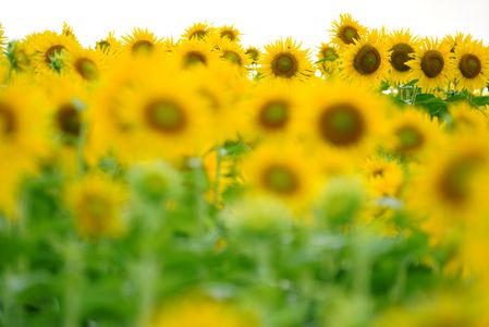 込み合ってます