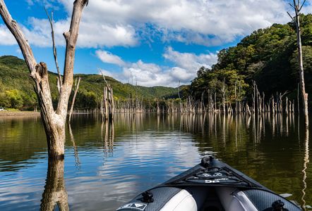 湖上の散歩