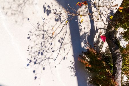 水景園の光と影