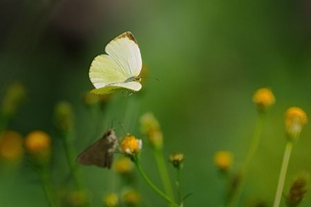 美味しいですか？