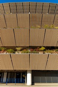 新国立競技場—秋