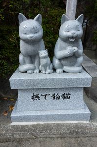 狛猫