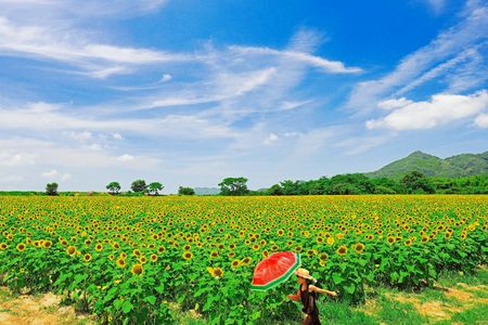 「夏へダッシュ」