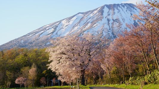 春の蝦夷富士