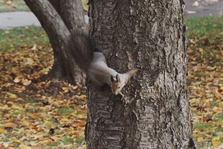 大慌てで撮りました