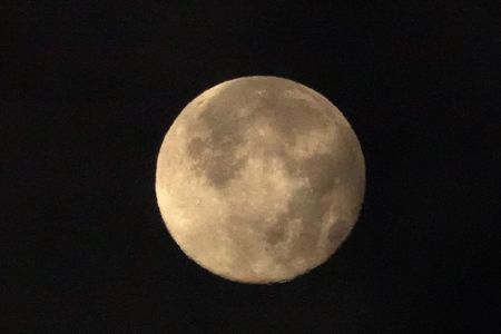 今年最後のスーパームーン（コールドムーン）