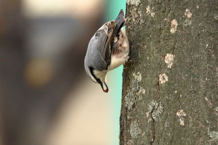 近くの小公園にて②