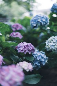 アルカリ性vs酸性