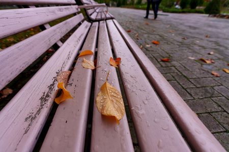 雨の日のベンチ