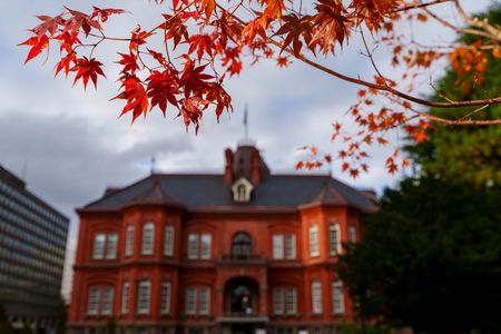 紅葉と赤レンガ